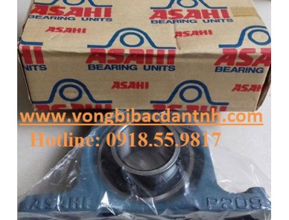 GỐI ĐỠ UCP307 - ASAHI